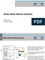 BWR Nuclear Systems