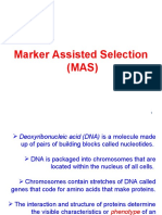 Marker Assisted Selection (MAS)