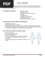 Anatomia I