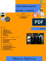 Perfil Del Delincuente Homicida-Ladrón