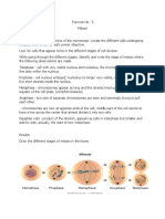 Lab Exercise 5