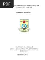 Influence of Phosphorus Fertilizer On The Productivity of Lentil