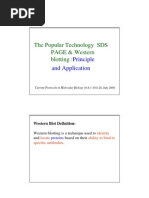 The Popular Technology SDS PAGE & Western Blotting:: Principle and Application