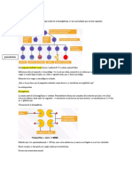 Hematología ....