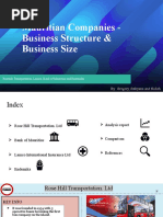 Mauritian Companies - Business Structure & Business Size