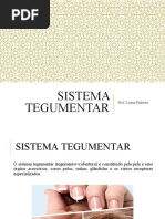 Sistema Tegumentar