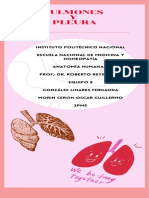 Pulmones y Pleura