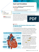 Circulatory System Reading