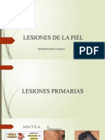 Lesiones de La Piel