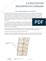 Discopathie Degenerative Lombaire DR Emmanuel Braun Nancy