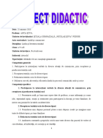 Proiect Clasa A V A Articolul