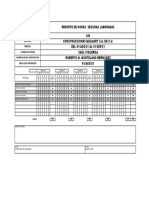 Formato de Horas Seguras