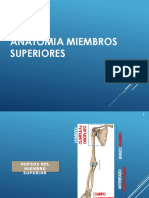 Miembros Superiores