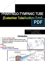 Auditory Tube