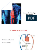 Aparato Circulatorio