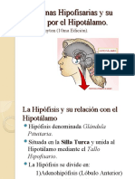 Hormonas Hipofisarias y Su Control Por El Hipotálamo