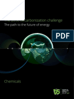 Us Eri Chemicals Decarbonization