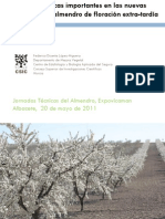 Características Importantes en Las Nuevas Variedades de Almendro de Floración Extra-Tardía