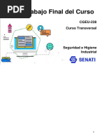 Cgeu-238 Trabajofinal