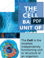 7 Cell Organelles