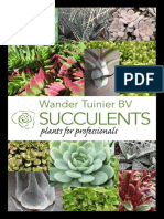 Echeveria - Succulents - Plants For Professionals (PDFDrive)