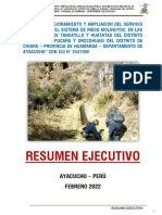 Resumen Ejecutivo