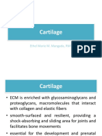 Cartilage: Ethel Marie M. Mangada, RMT