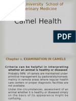 Lecturenote - 245348428camel PPT-CH4-7