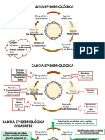 Biossegurança - Epidemio 2