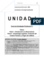 1a - Guía A.P. Nº1