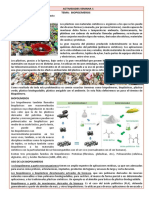 Proy 8 Sem 1 - Quimica - Bgu-2-4