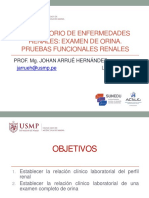 TEO 1 DR. ARRUE - Examen de Orina y Pruebas Funcionales Renales