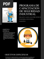 Programa de Capacitacion de Seguridad Industrial