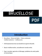 Brucellose