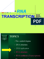 Transcription and Translation