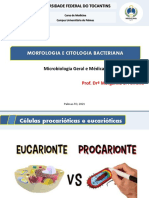 Aula 1 - Morfologia e Citologia Bacteriana