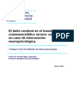 El Daño Cerebral en El Traumatismo Craneoencefalico Severo Estudio de Casos de Intervencion Neuropsicologica Master