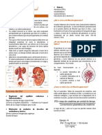 Clase Insuficiencia Renal