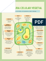 Biología - Estructuras de Las Célula Animal y Vegetal.