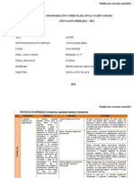 Planificacion Anual 5° 2021