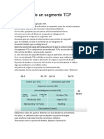 Disección de Un Segmento TCP