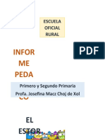 1 Informe Josefina