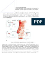 Retrato Síntese Da Distribuição Da População Portuguesa