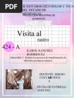 Visita Al Rastro