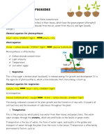 Plant Processes: 1. Photosynthesis