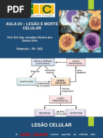 Aula 04 - Lesões e Morte Celular