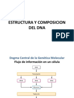 Clase - 7 - Estructura y Composición Del DNA y Replicación