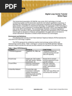 Digital Loop Carrier Tutorial White Paper: Environment and Definitions