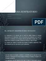 El Sistema Respiratorio