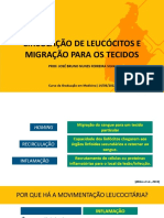 Aula3 Migração Dos Leucócitos para Os Tecidos 14032022